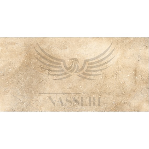 سیلوا کرم